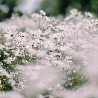 大只500注册下载