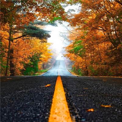 半岛·综合体育下载